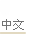 中文